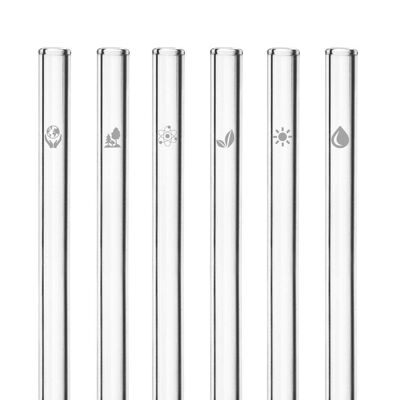 The Climate Change Edition 6x 20cm glass straws with engraved motifs