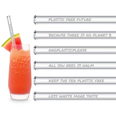 Plastic Free Future Edition 6x 20cm glass straws with engraved motifs