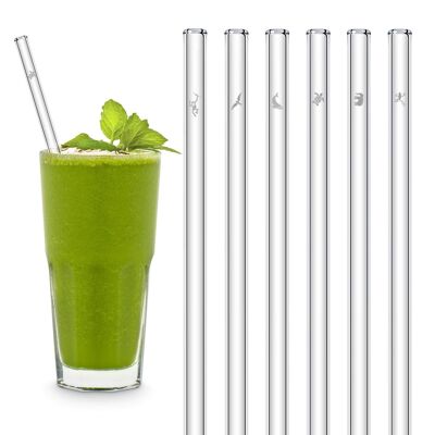 Earth Day Edition 6x 20cm glass straws with engraved motifs