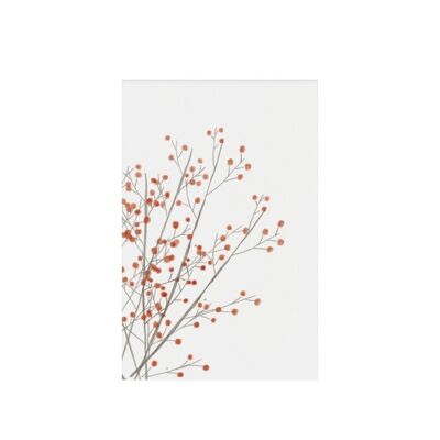 Red berries, gift tag, Christmas