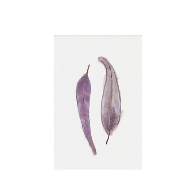 Eucalyptus, purple, gift tag