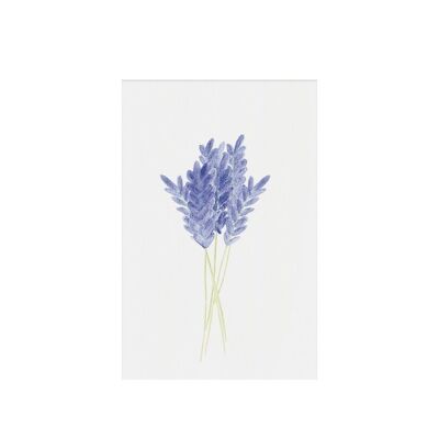 Lavender, gift tag
