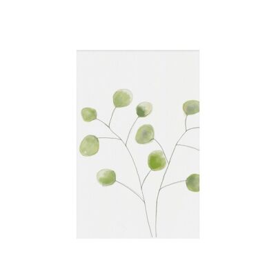 Green eucalyptus, gift tag