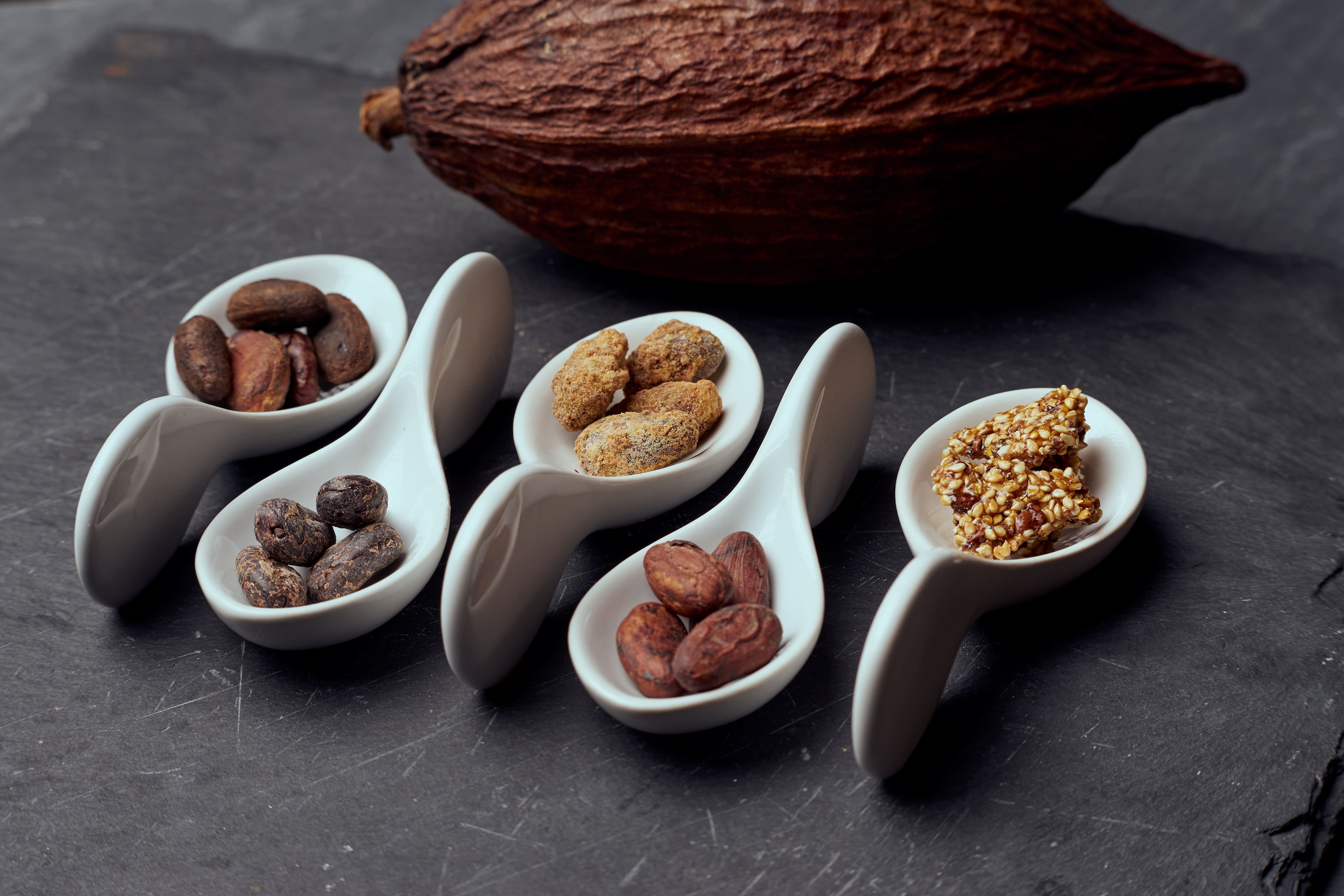 Dolcetti al miele e sesamo al cacao