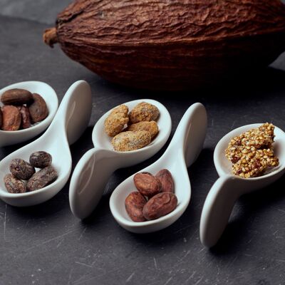 Granos de cacao praliné