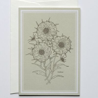 Biglietto augurale Scabiosa, con busta