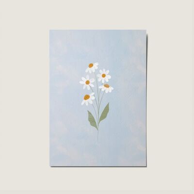 Tarjeta ilustrada con flores de margaritas para ocasiones especiales (copia)