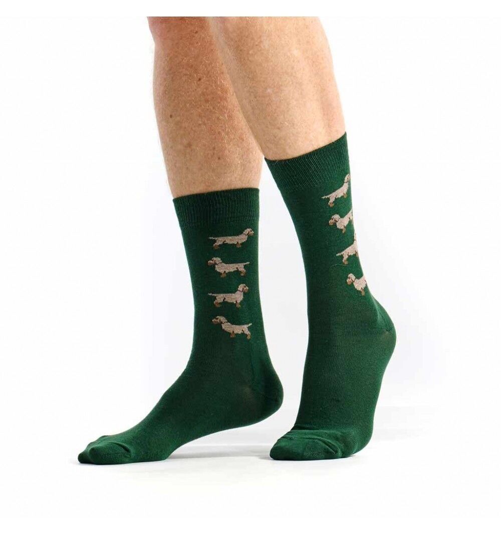 Calzini bassotto bicolore verde o blu dal 35 al 45