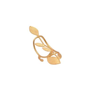 Anello Enredy