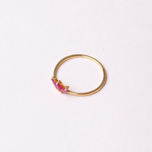 Anillo De Liz Fucsia Ed. Limitada