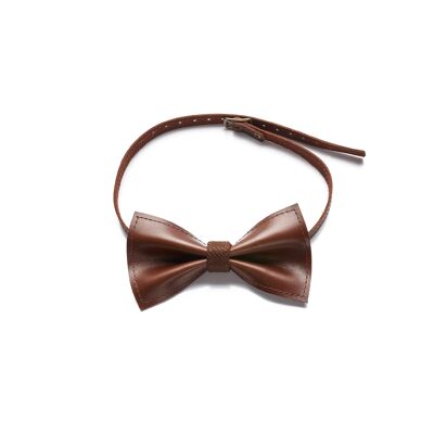 Classic brown bow tie.