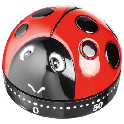 Juge Kitchen, minuterie coccinelle