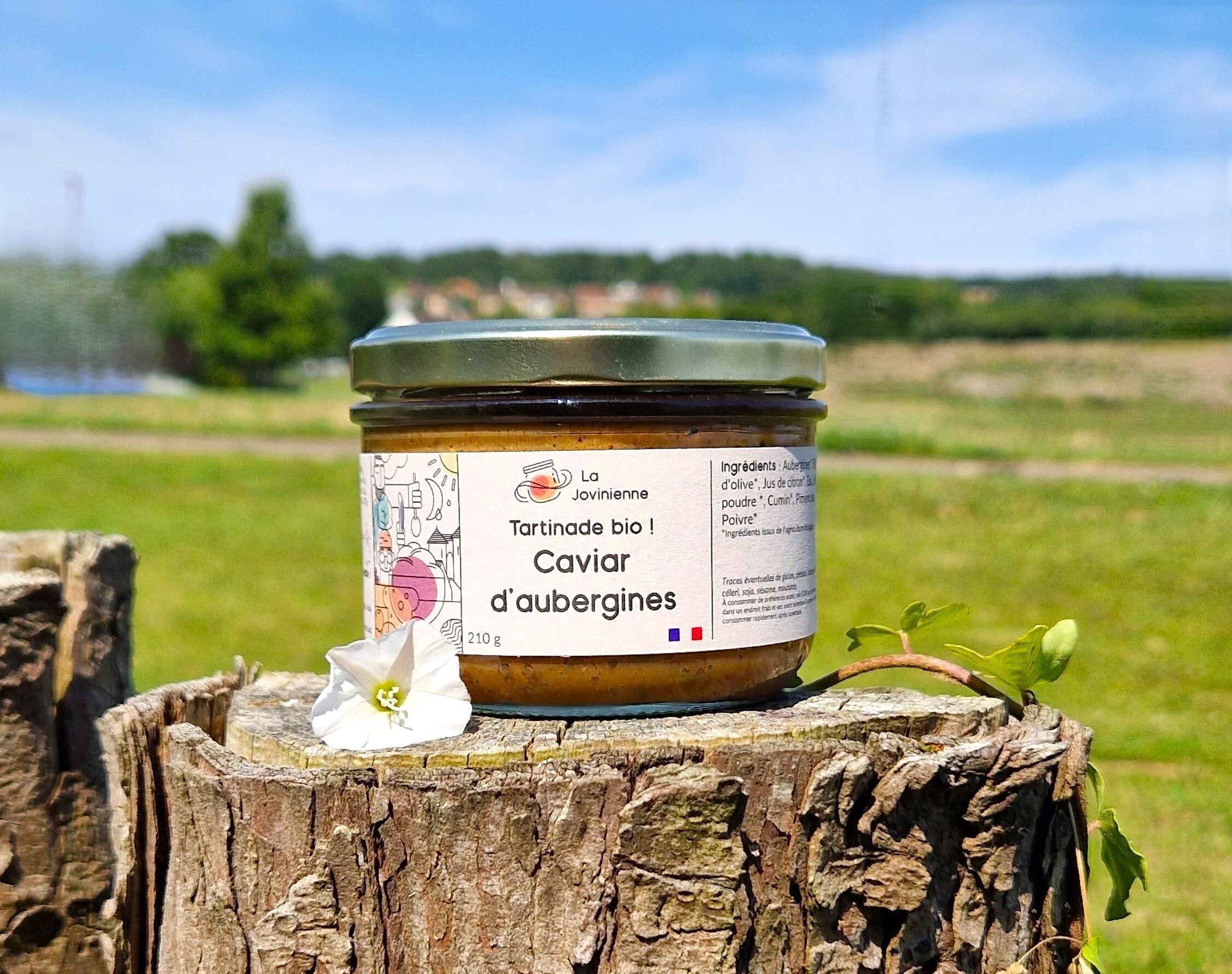 Caviale di melanzane biologico