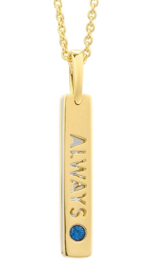 Geheimhaltungshalskette P7162CDAWWC03