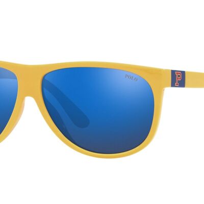 Gafas de sol Ralph Lauren PH4174-596155