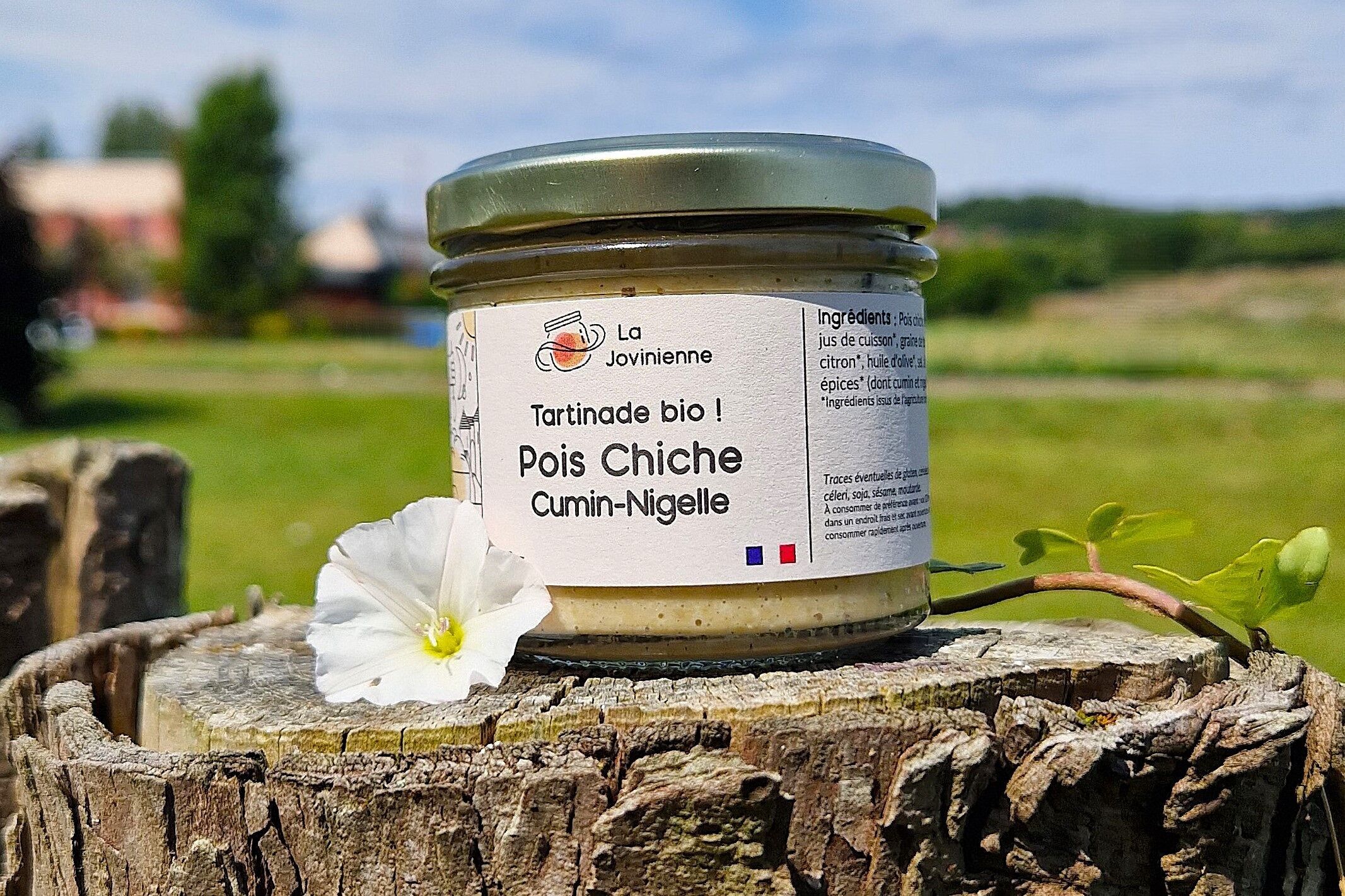 Crema spalmabile di ceci al cumino e nigella biologica