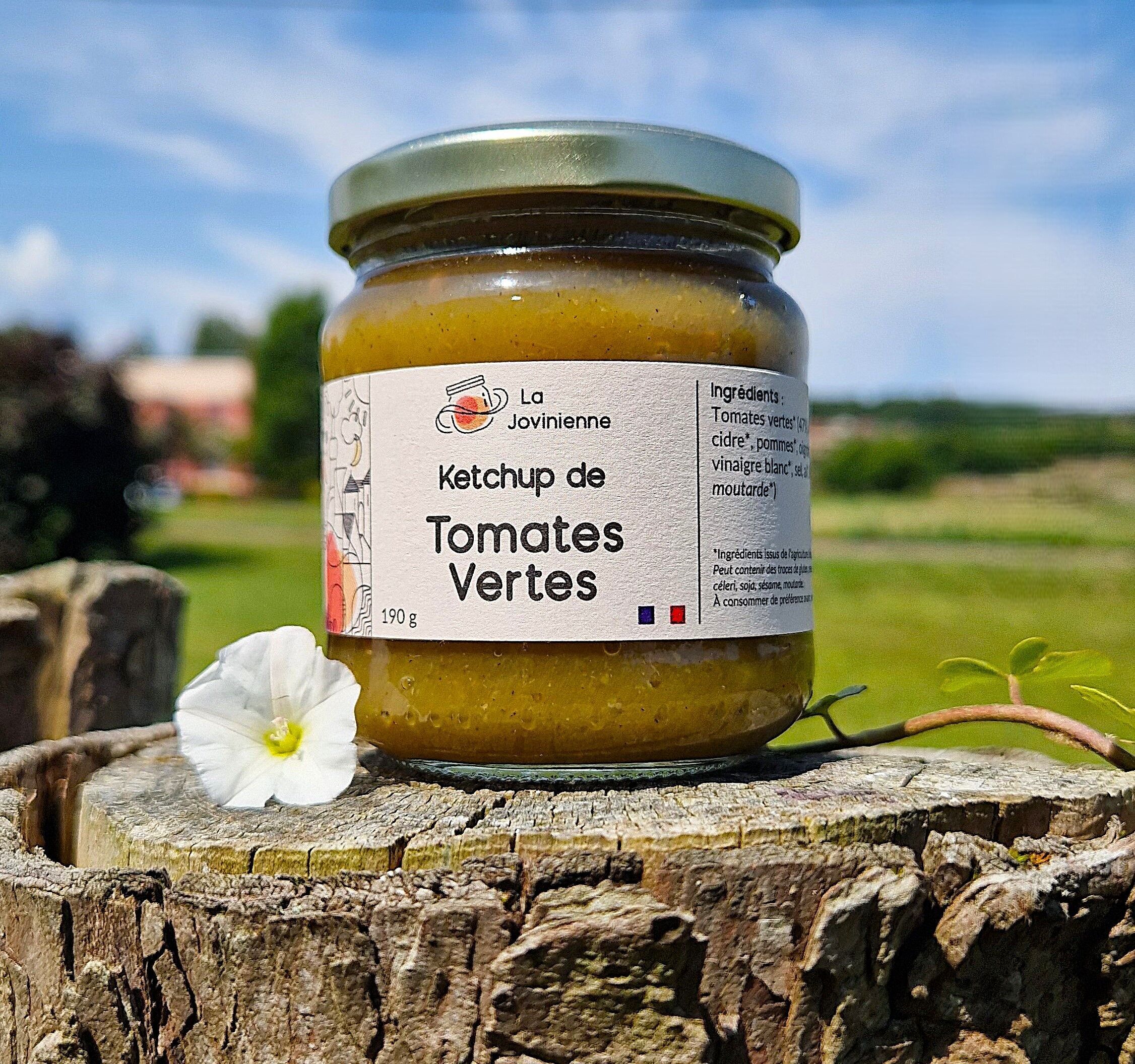 Organic Green Tomato Ketchup