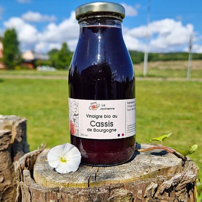 Vinagre de grosella negra de Borgoña ecológico