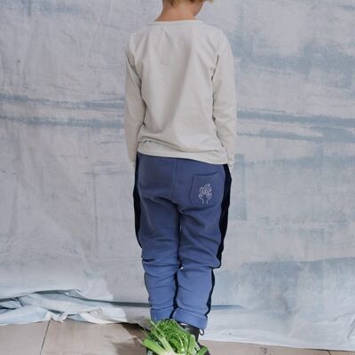 luca pants in blue with navy velvet stripes and the ok print