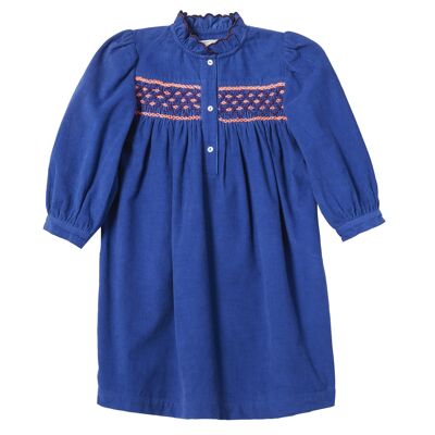 Klein Blue Velvet Dress