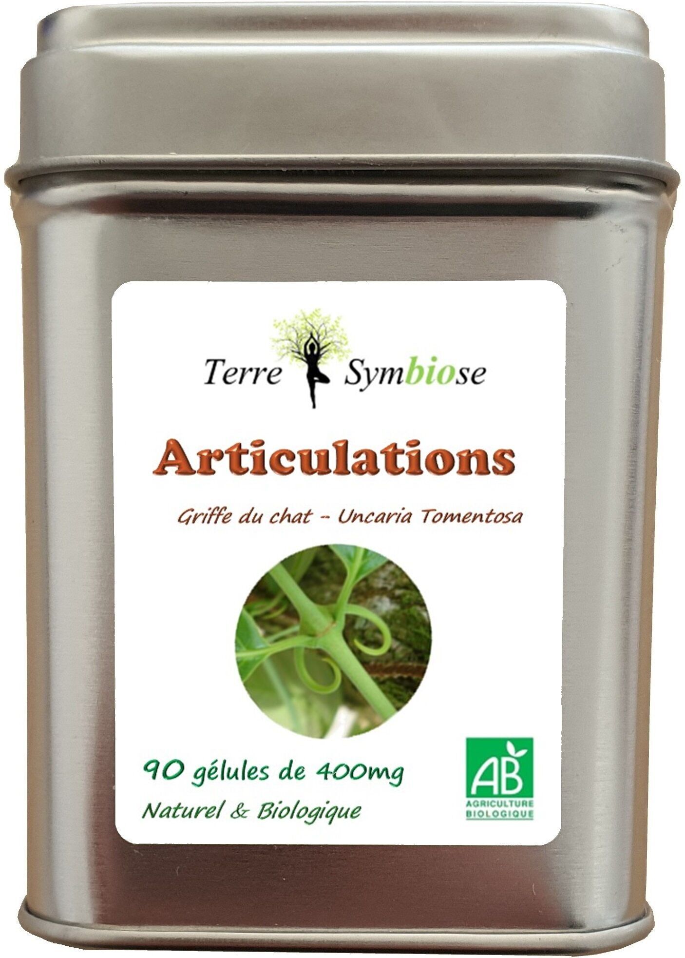 Articulations ~ Cat's Claw