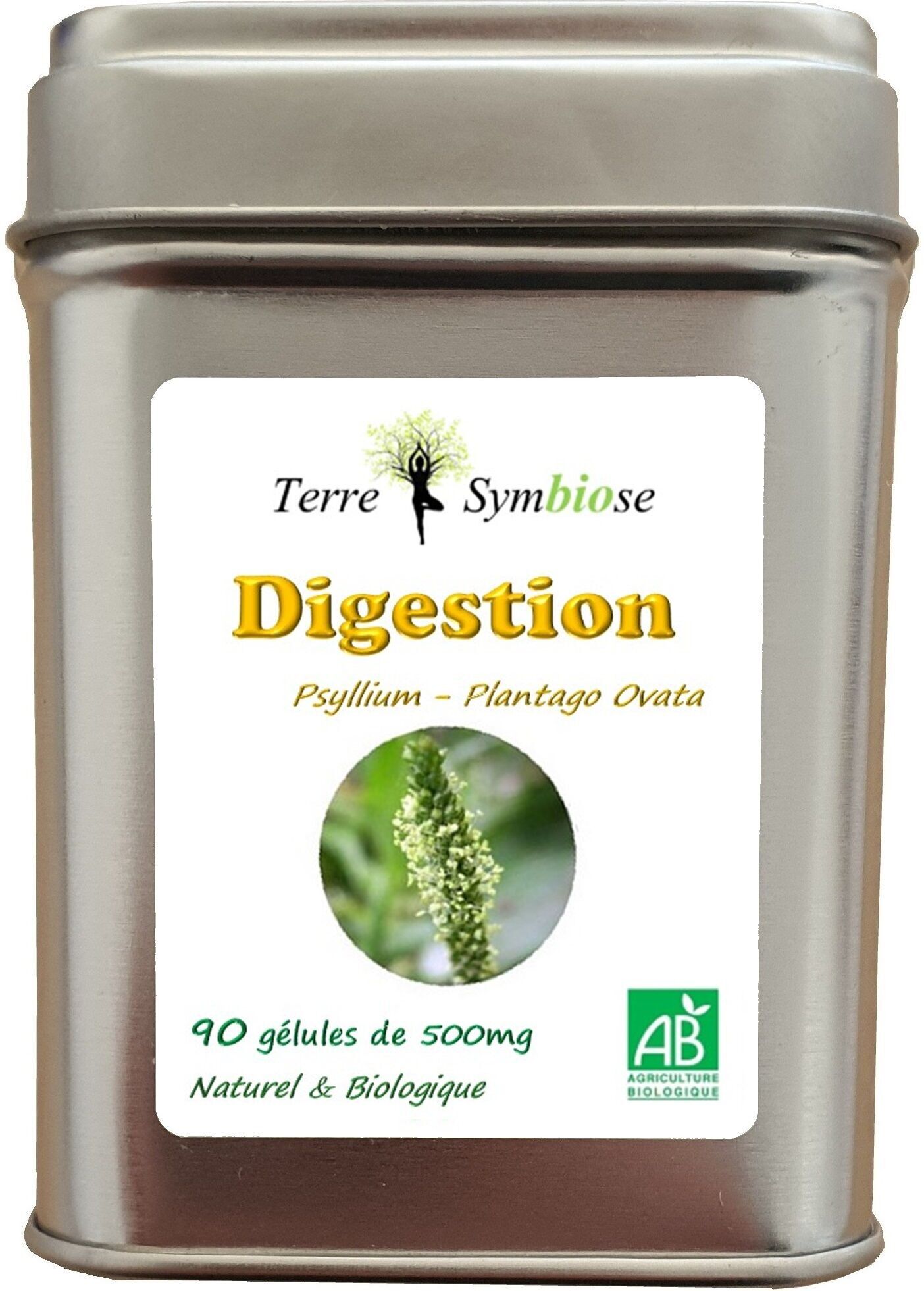 Verdauung ~ Flohsamen