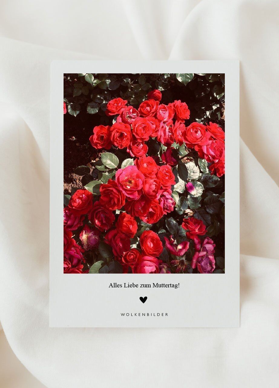No.116 Postcard "ROSE SW PHOTO FLOWERS FOR YOU"
