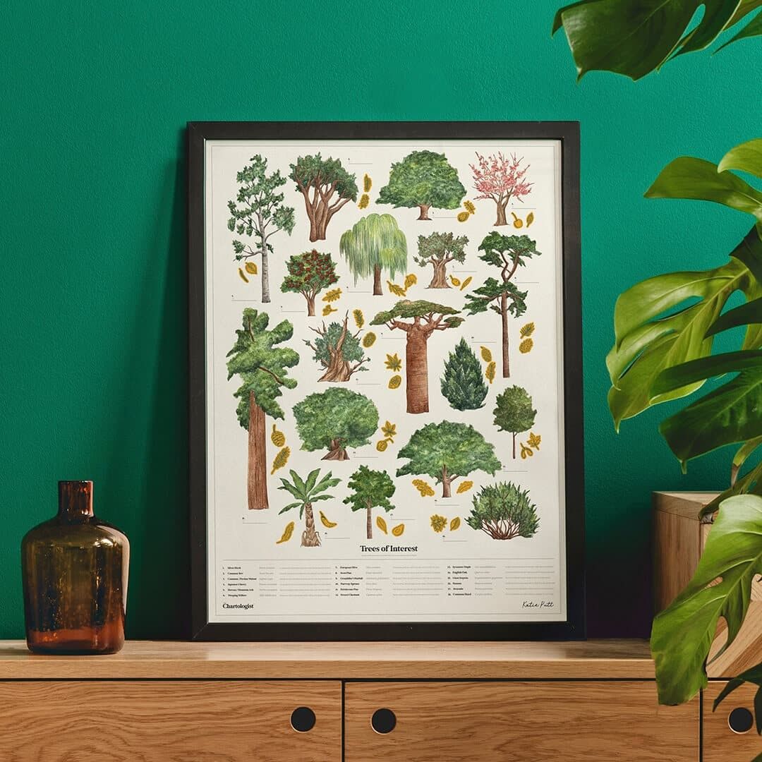 Poster illustrato da grattare - Cartologo - Alberi