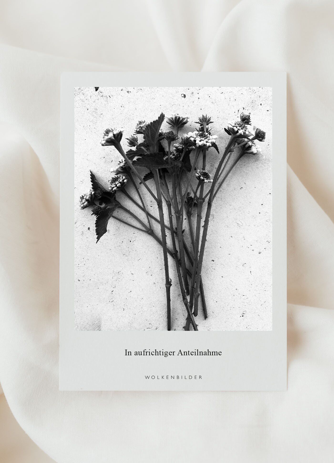 NO. 183 cartolina "SINCERAMENTE PREOCCUPAZIONE"