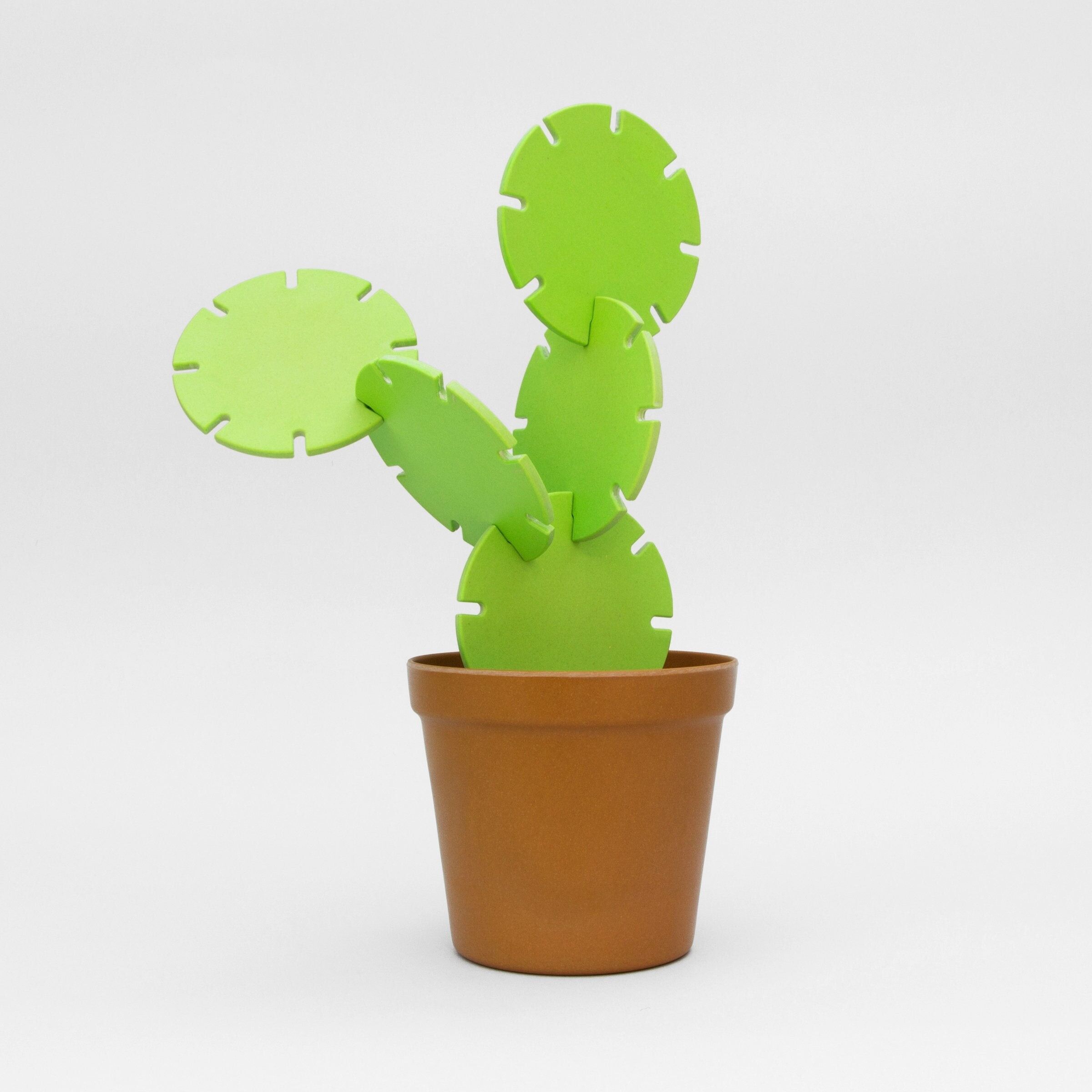 SOTTOBICCHIERI CACTUS AD INTRECCHI