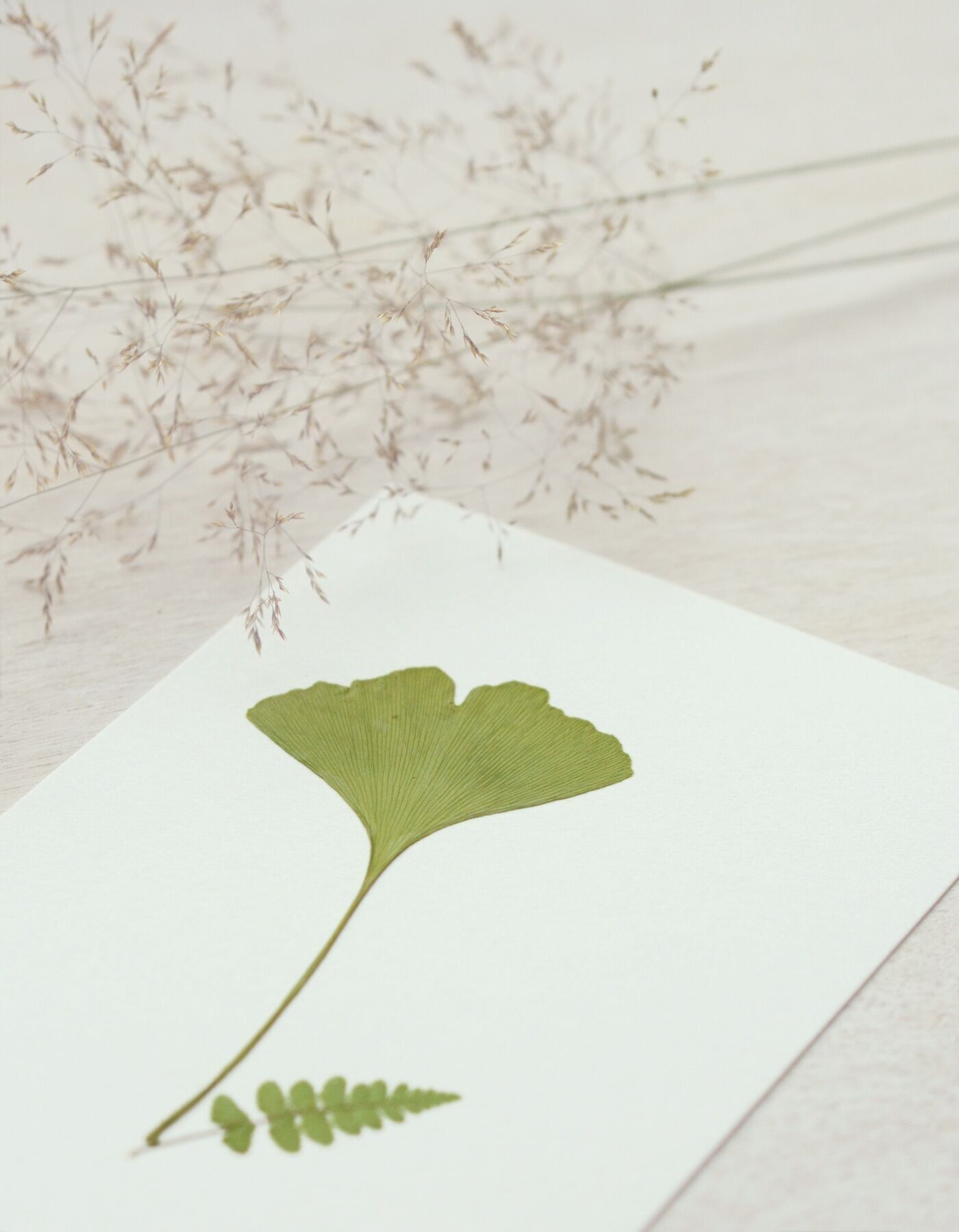 Herbarium-Blumenstrauß Ginkgo (verschiedene Pflanzen) • A6-Format • zum Einrahmen