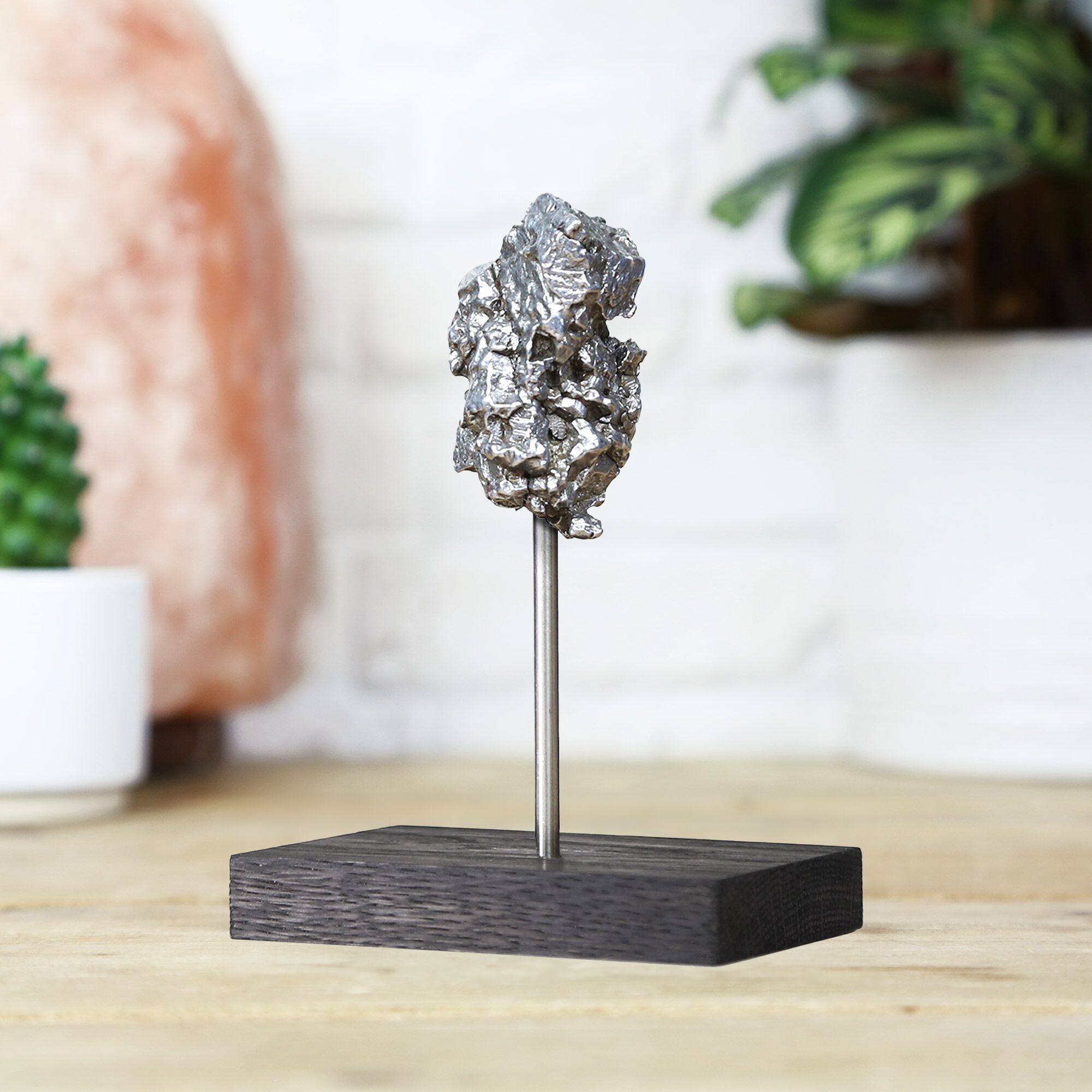 Campo Del Cielo Meteorite Bespoke Solid Oak Stand Real Authentic Space Meteor Fragment Natural History Interior Design Home Decor Display Gift Ornament