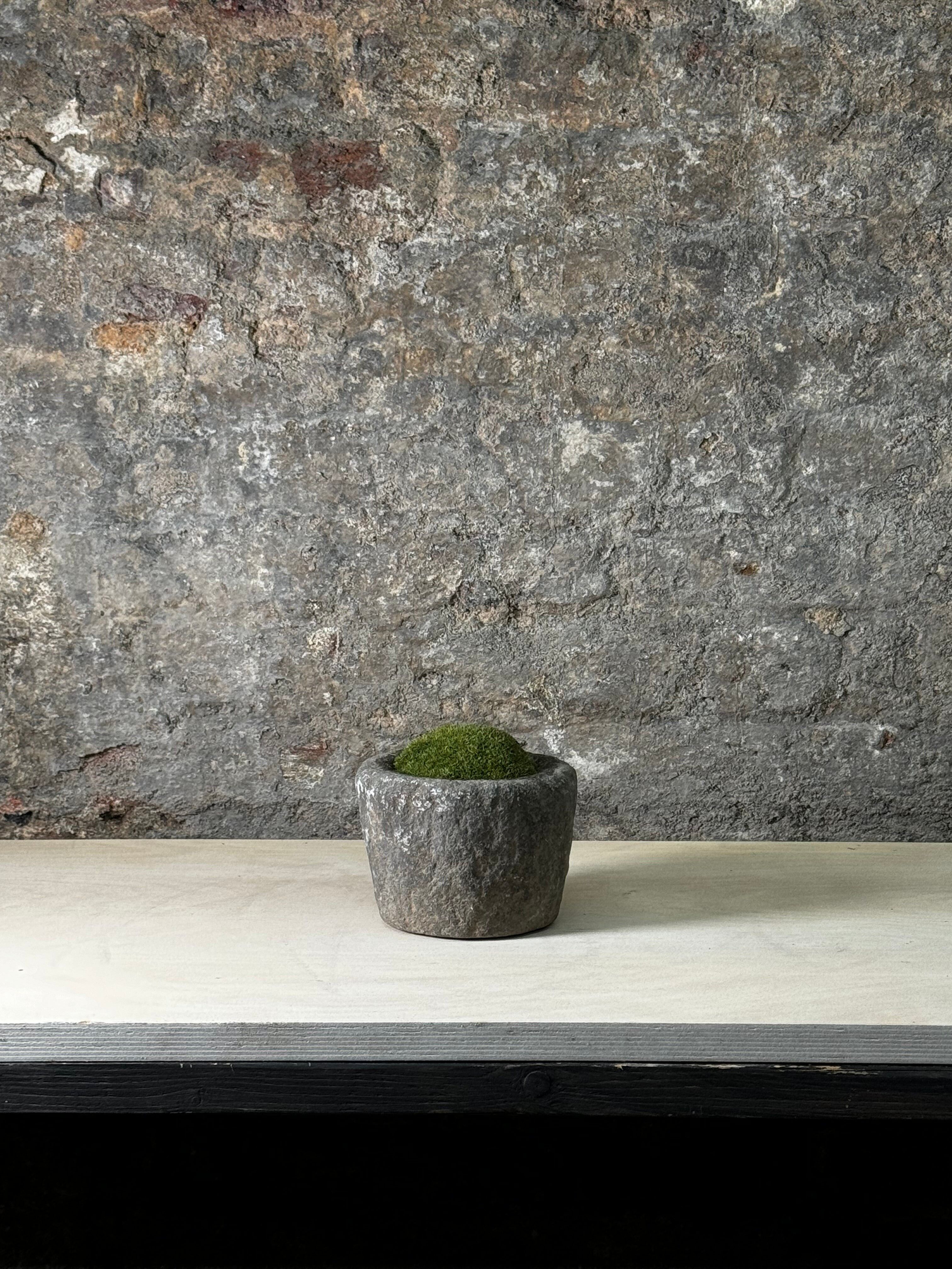 Mortier en pierre antique avec mousse FR7