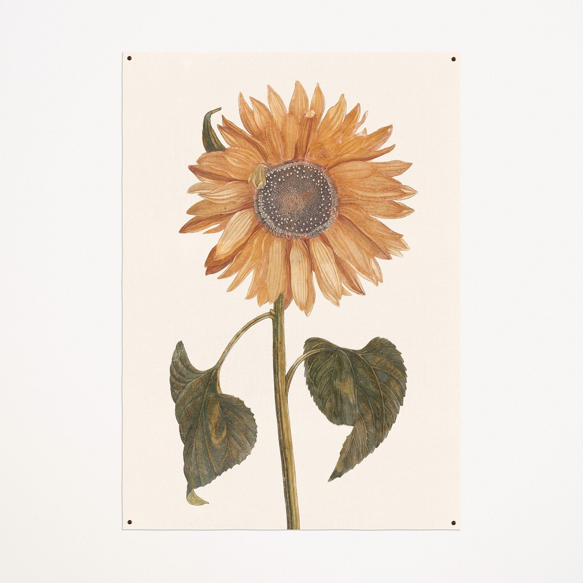 Tela: girasole