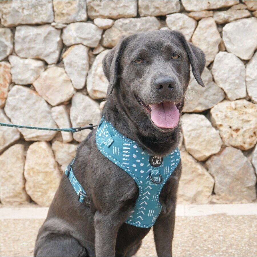 KAIA - Pettorina regolabile per cani e gatti