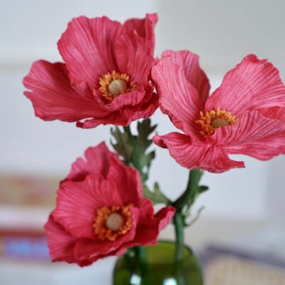 Pavot en papier fuchsia