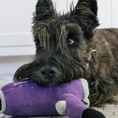 Juguete para perros - Splish Splash - Secador de pelo Howlin' - Pet PLAY