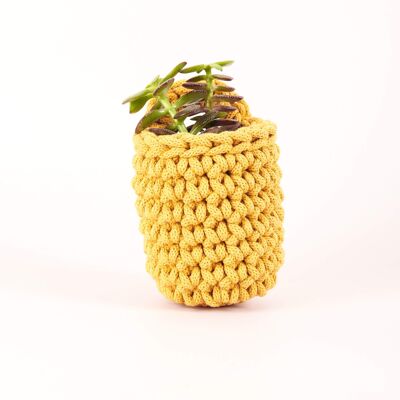 Kit de Pot au Crochet Easy Peasy - Moutarde