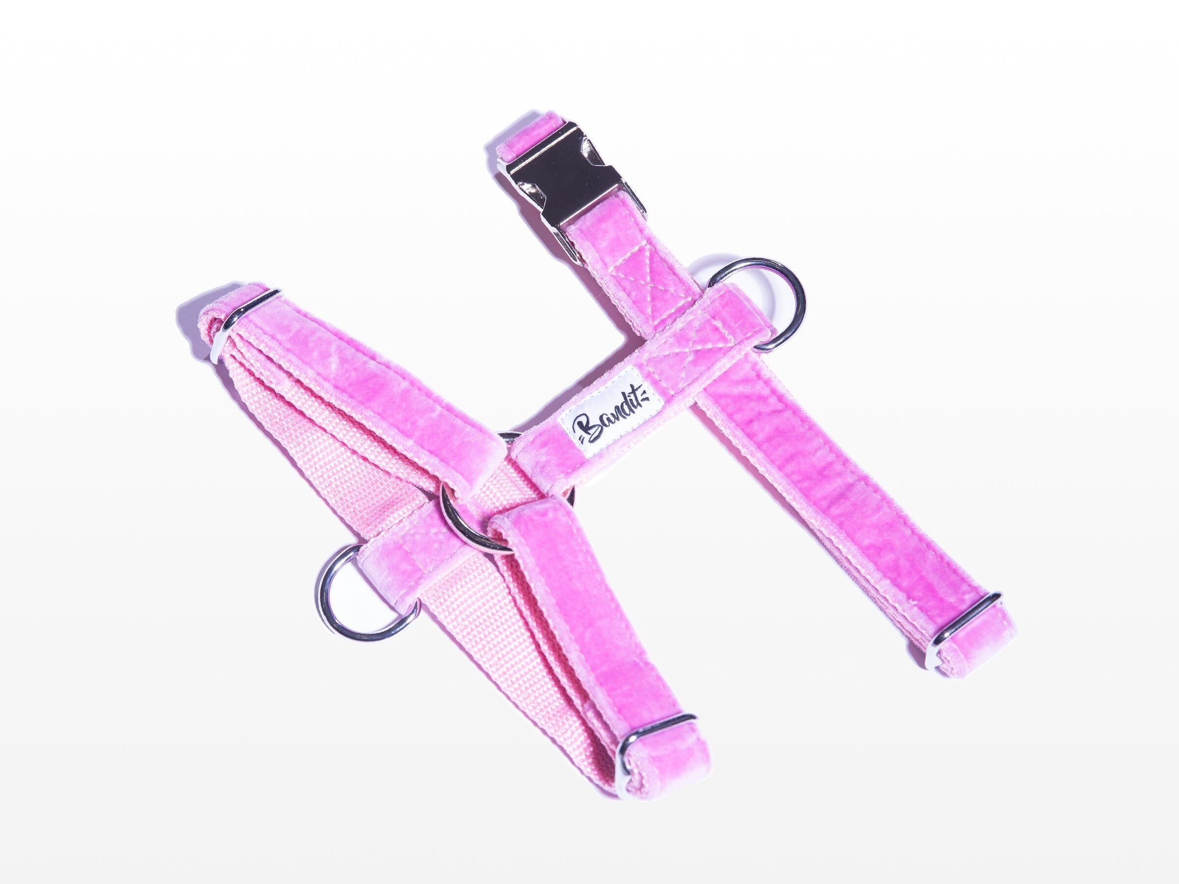 Pettorina ROSA VENEZIA