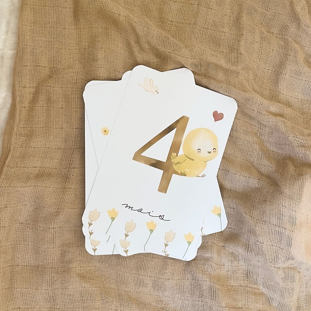 Baby-Meilensteinkarten – Little Chick