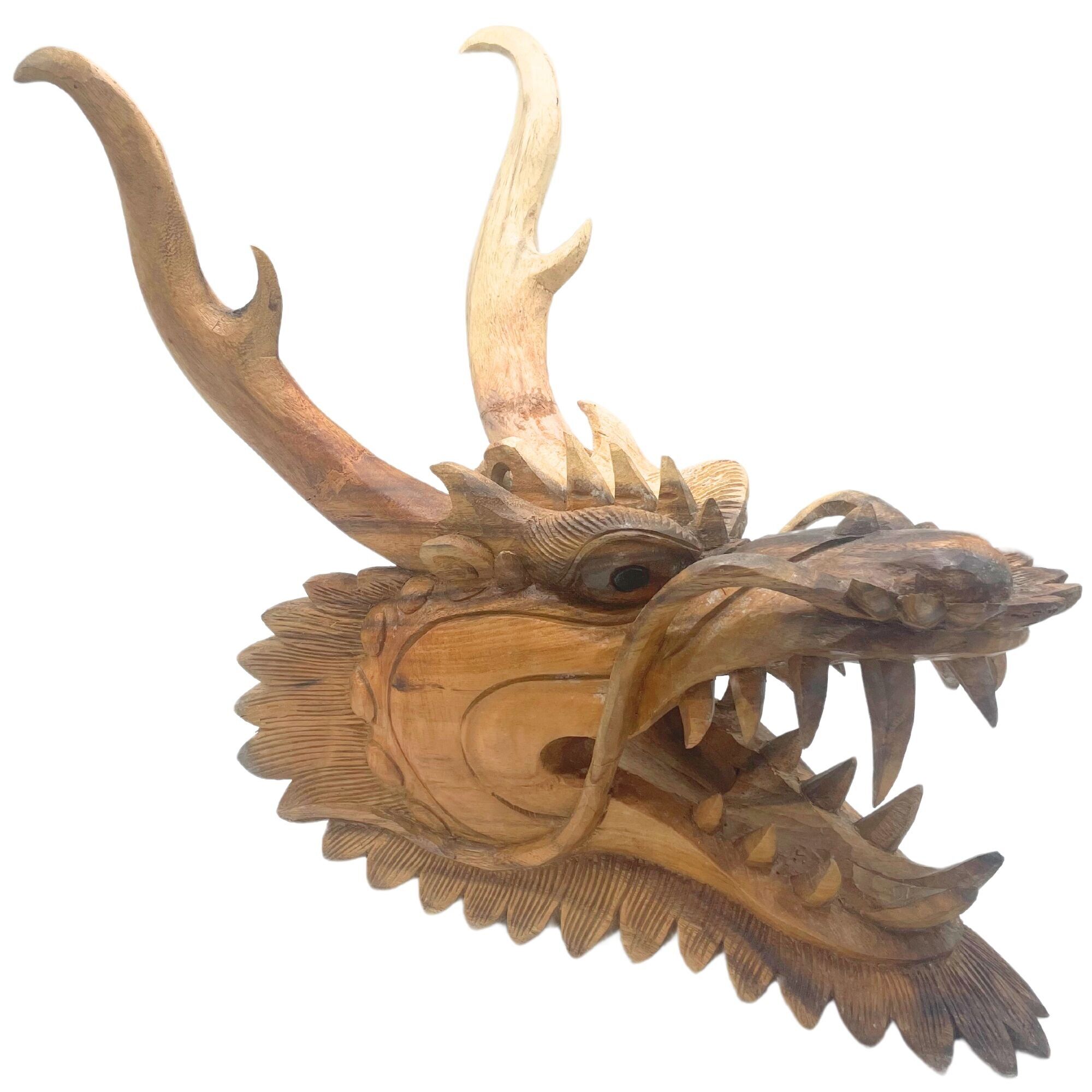 Scultura a forma di testa di drago a grandezza naturale - 30 cm
