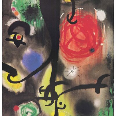 MIRÒ - Mujer y pájaros en la noche