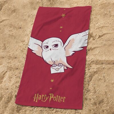 Cielo stellato di Harry Potter WB