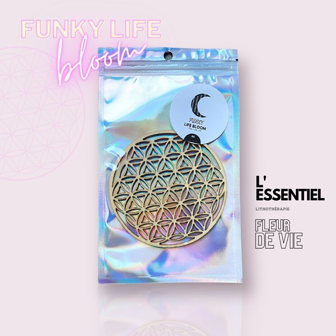 Die Blume des Lebens ✨🌸