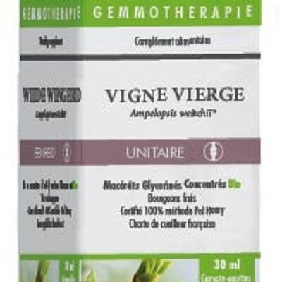 Vigne vierge*