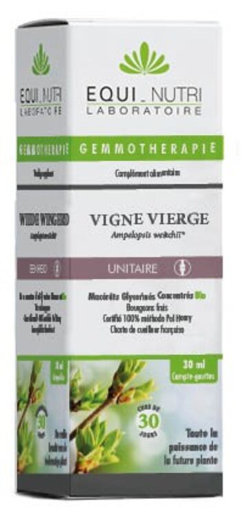 Vigne vierge*