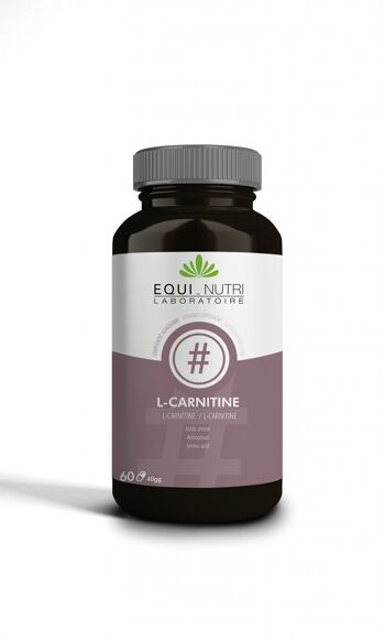 L-CARNITINE 500mg