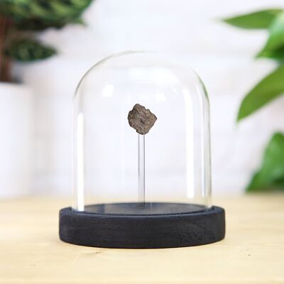 Campana de cristal con meteorito lunar, diseño de interiores de calidad de museo, decoración del hogar, exhibición natural, meteorito espacial real y auténtico, adorno de regalo único