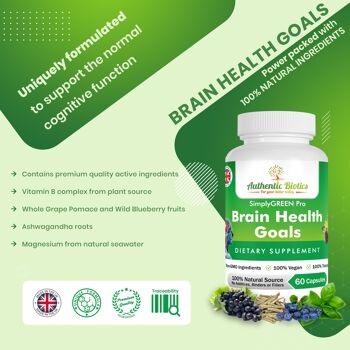 Objectifs de santé cérébrale Pro 4
