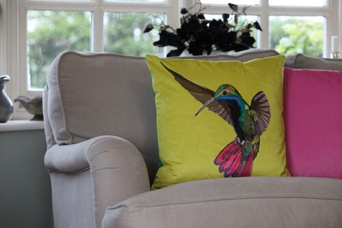 Humming Bird Velvet Cushion